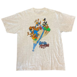 '90s Disneyland Splash Mountain Ride Front