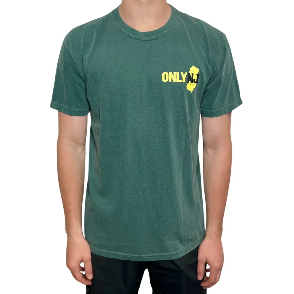 Pork Roll Egg Cheese On a Hard Roll Shirt 1 Pork Roll Egg Cheese On a Hard Roll Shirt