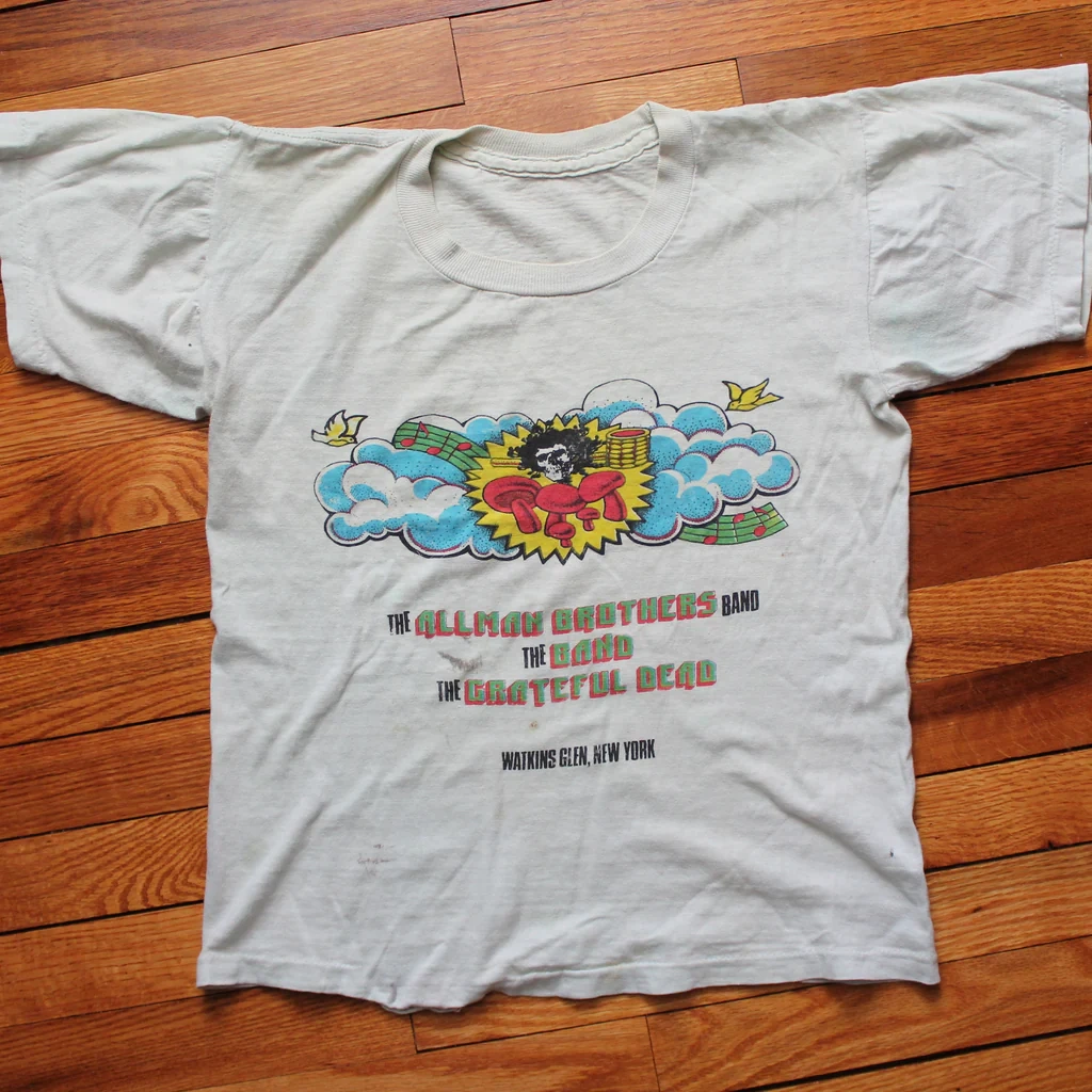 Vintage 1973 Summer Jam At Watkins Glen Festival Shirt