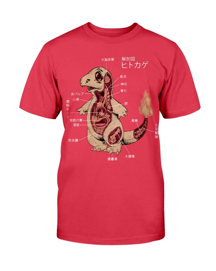 Charmander Dissection T Shirt 211213