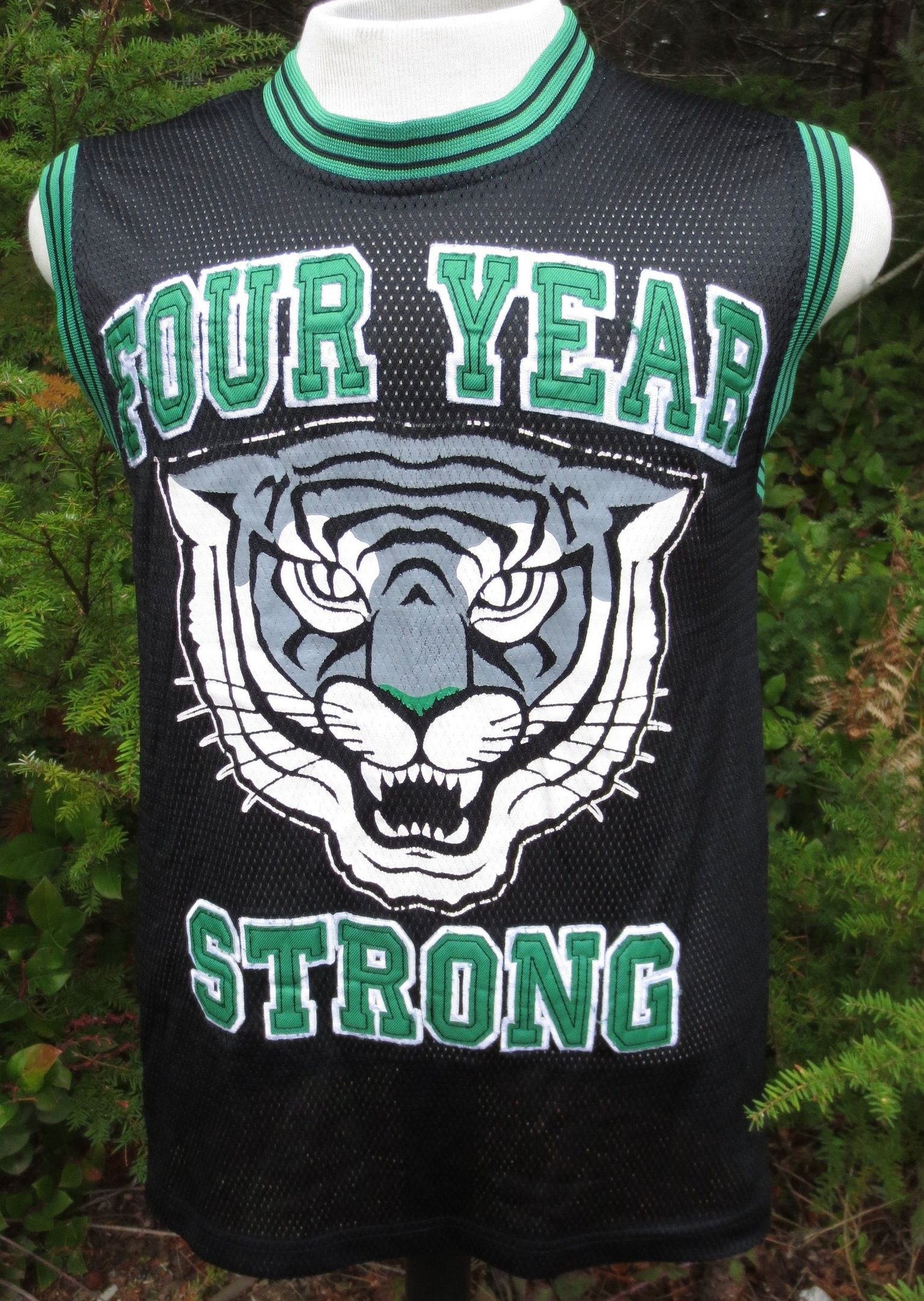 Four Year Strong Fys Concert Tour Band Basketball S S Punk Rock Tiger