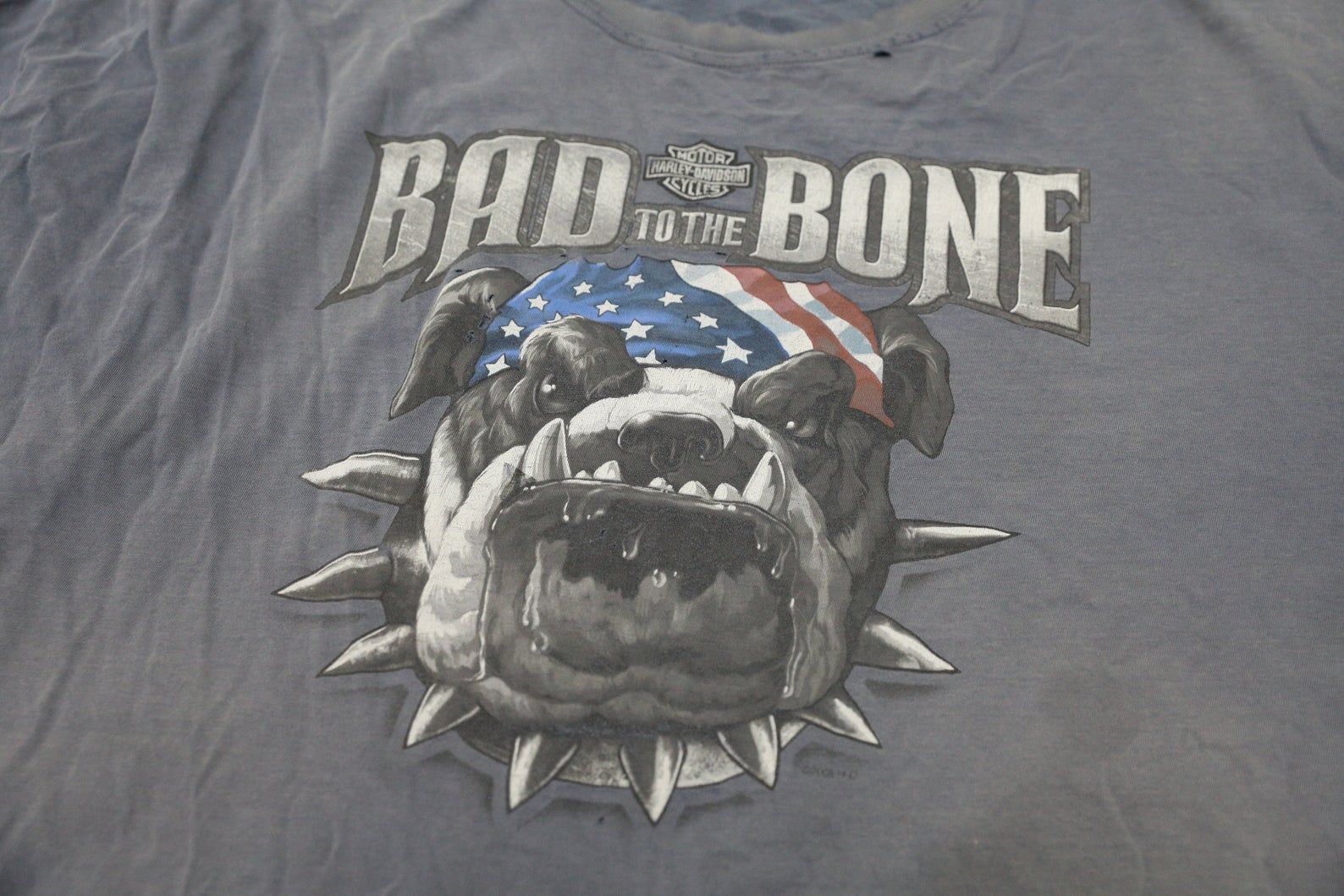 Harley Davidson Mchenry Illinois - Vintage Tee