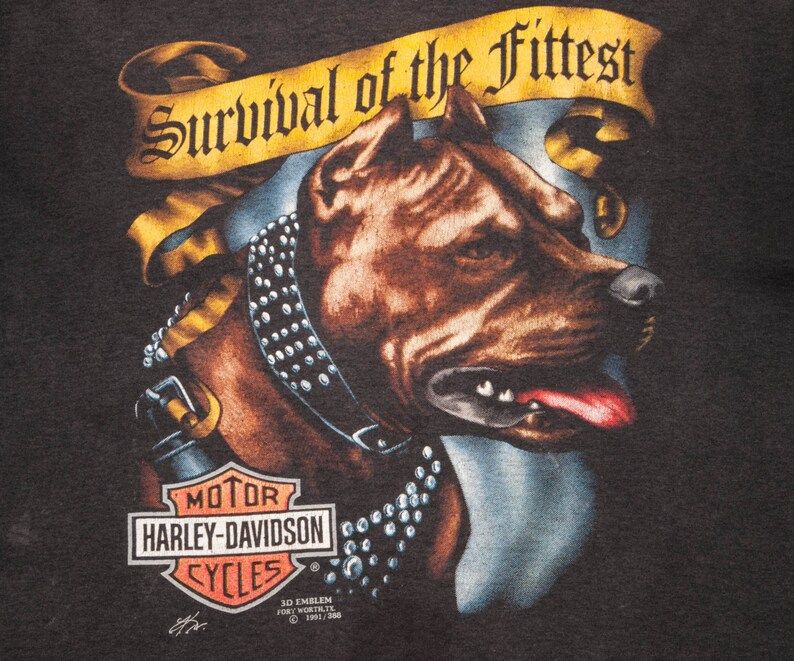 Harley Davidson Size L Survival Of The Fittest