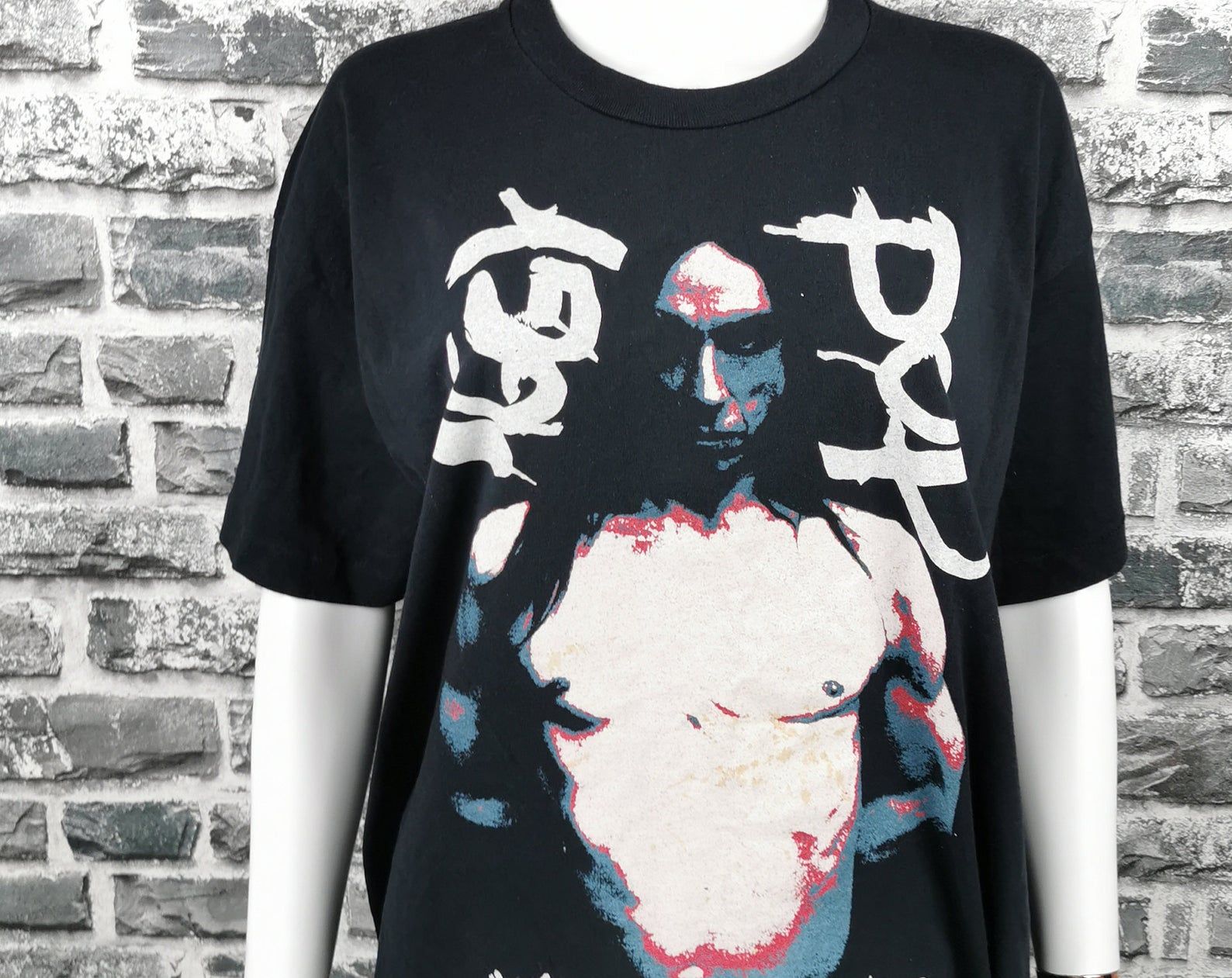 Iggy Pop 1993 Vintage T-Shirt American Caesar Europe Tour Tee / Extremely Rare