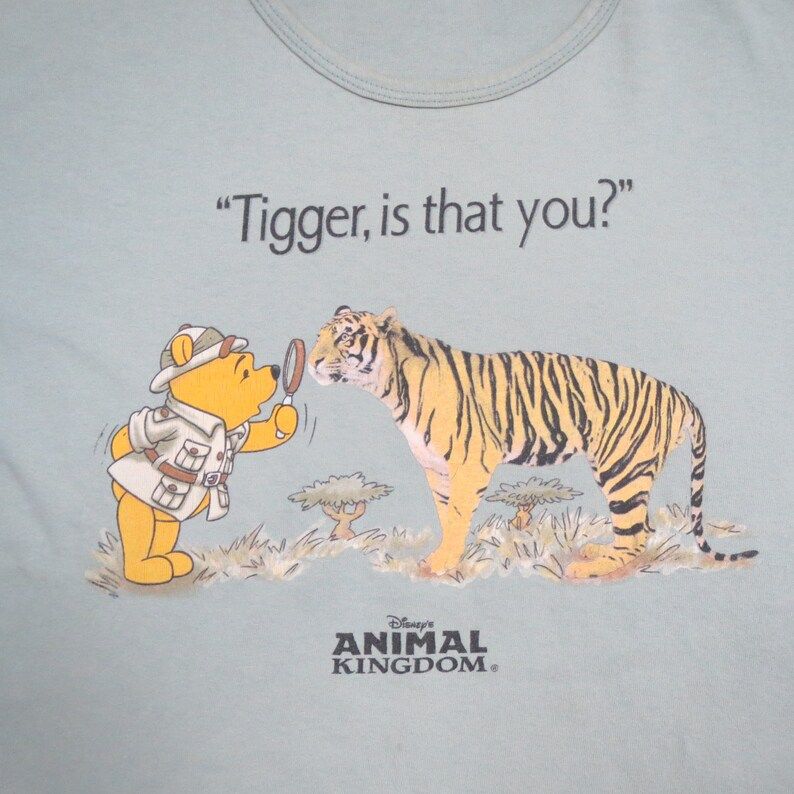 Vintage 00S Winnie The Pooh Tigger Animal Kingdom Disney Cartoon Grey Color Front Print T Shirt Adult Medium Size