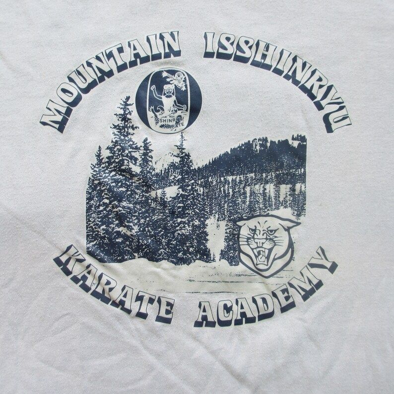 Vintage 1980S Mountain Isshinryu Karate Academy Graphic T Shirt Large Xl Soft Thin Jerzees Martial Arts Forest Scene Wild Cat Blue