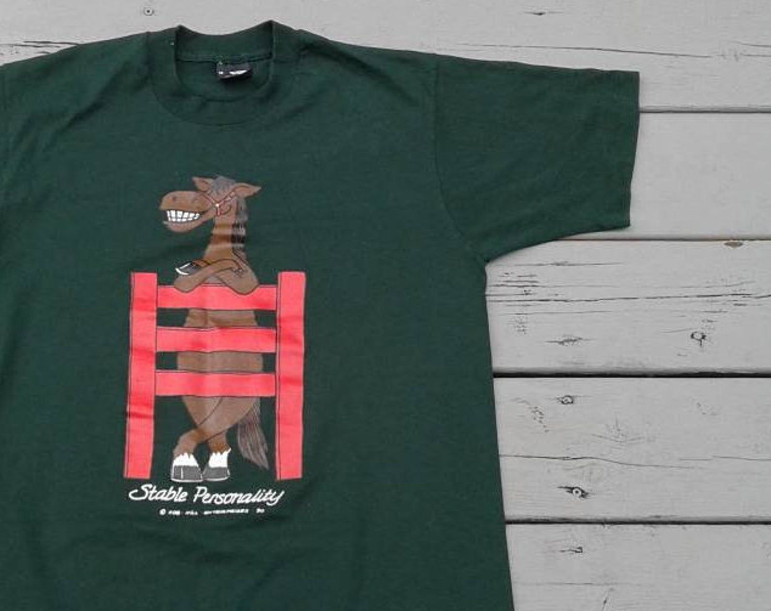 Vintage 1990 Funny Horse Stable Personality T-Shirt Made In Canada By Screen Stars Best