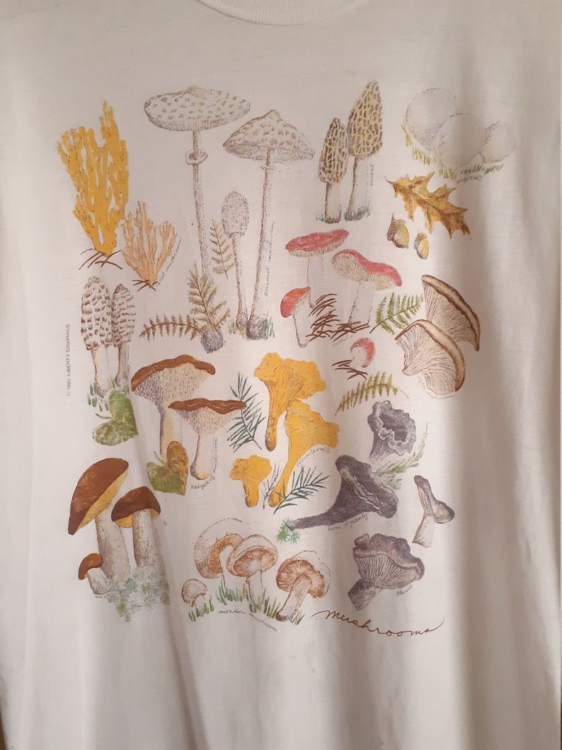 Vintage 1990S Botanical Drawing Of Mushrooms T Shirt Hanes Beefy T Large Single Stitched Made In Usa Distressed Shrooms