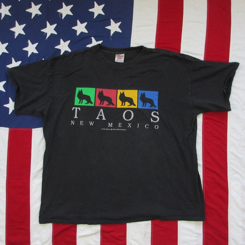 Vintage 1990S Taos New Mexico Coyote Blocks Graphic T Shirt Xxl Black Faded Color Block Tourist Souvenir Oneita Power T