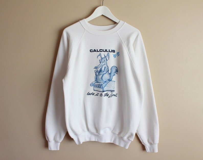 Vintage 1990Ss Hanes 50 50 White Pullover Crewneck Sweatshirt Calculus Take It To The Limit Graphic