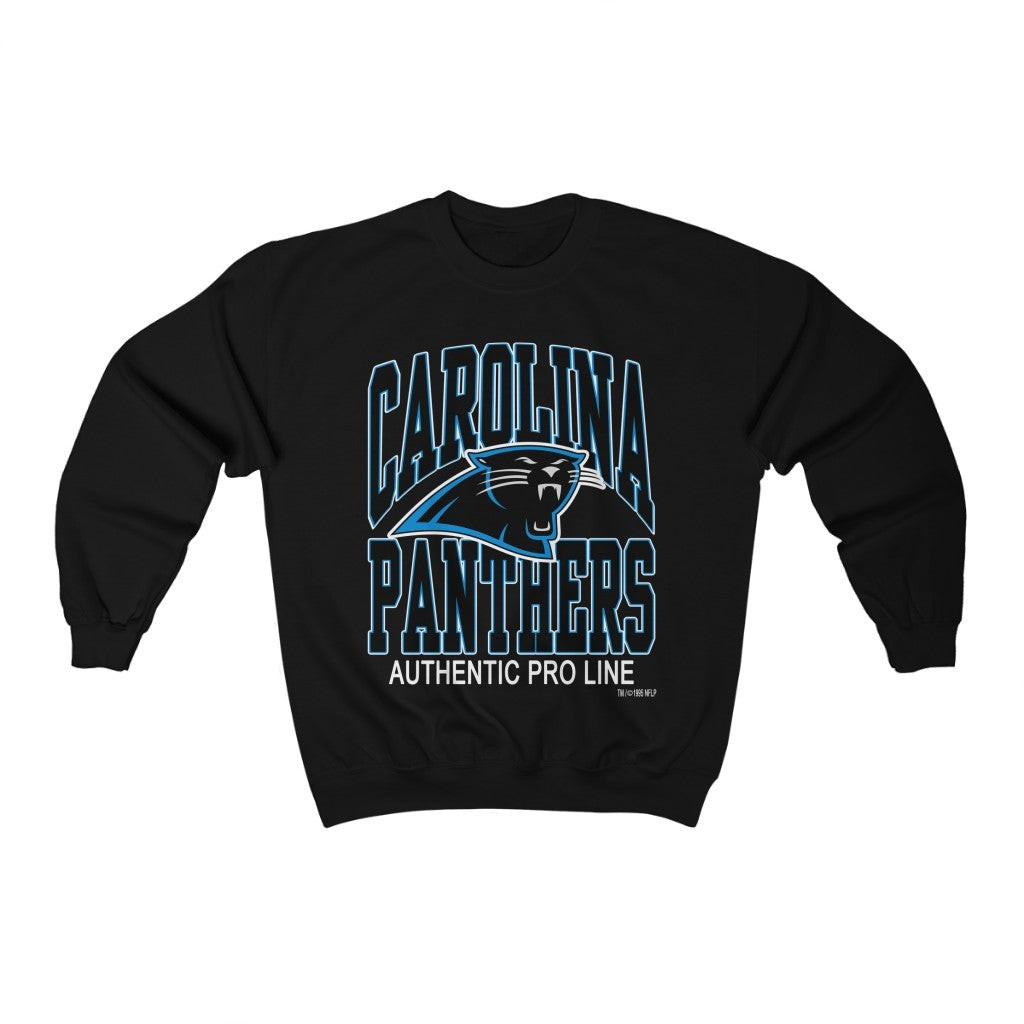 Vintage 1995 Carolina Panthers Nfl Football Sweatshirt 211213