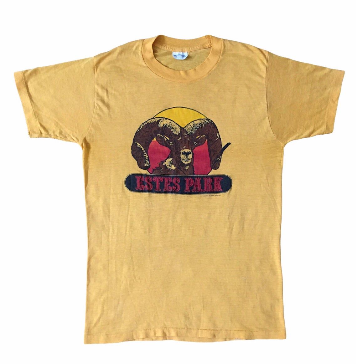 Vintage 70s Estes Park Colorado shirt