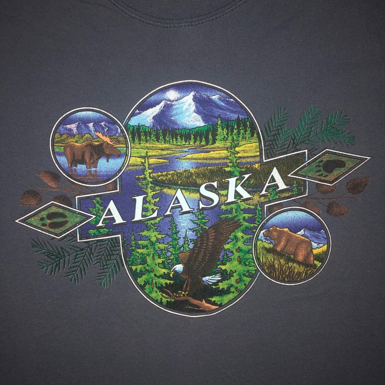Vintage 90S Alaska Tourist T Shirt Wilderness 1990S Anvil