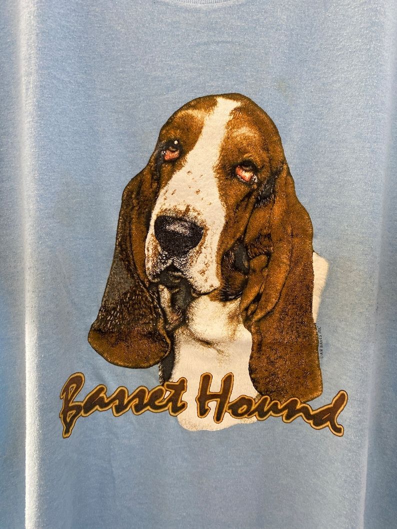 Vintage 90S Tennessee River Air Waves Basset Hound T Shirt