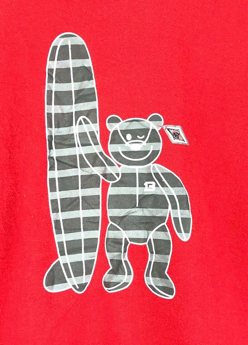 Vintage Bear Usa Sweatshirt Bear Surfboards Big Logo Sweater Surfing Beach Hawaii