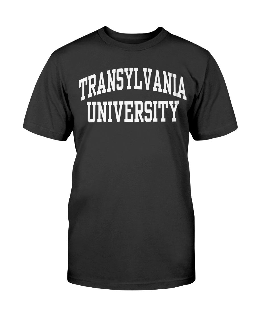 Vintage Champion Transylvania University Spellout T Shirt 211228 vintage champion transylvania university spellout t shirt 211228 mfld3