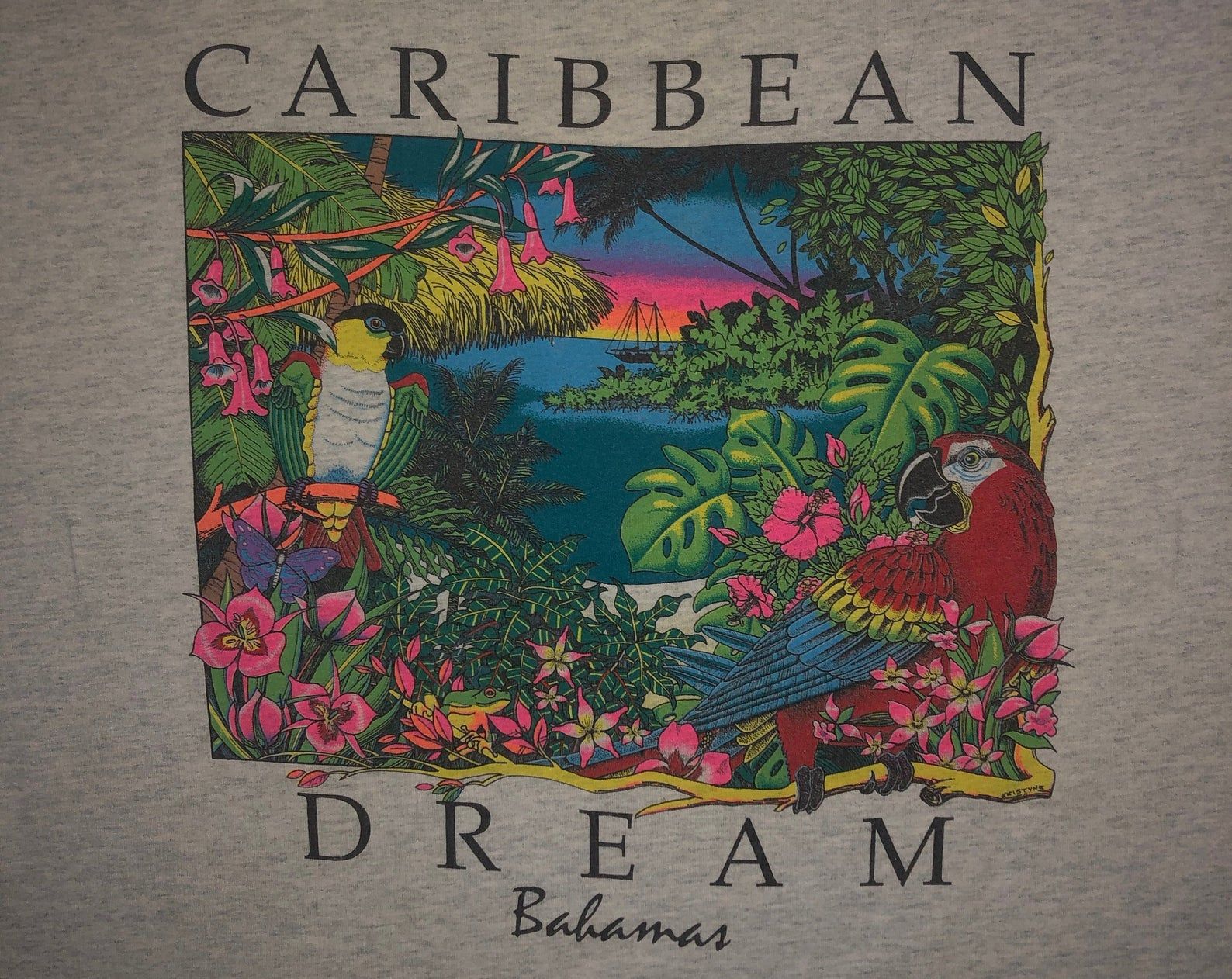 Vintage Early 90S Caribbean Dream T Shirt Bahamas X Tourist Tee 1990S Fruit Of The Loom