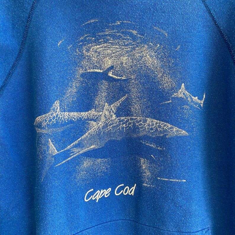 Vintage Late 80S Hanes Blue Cape Cod Hoodie