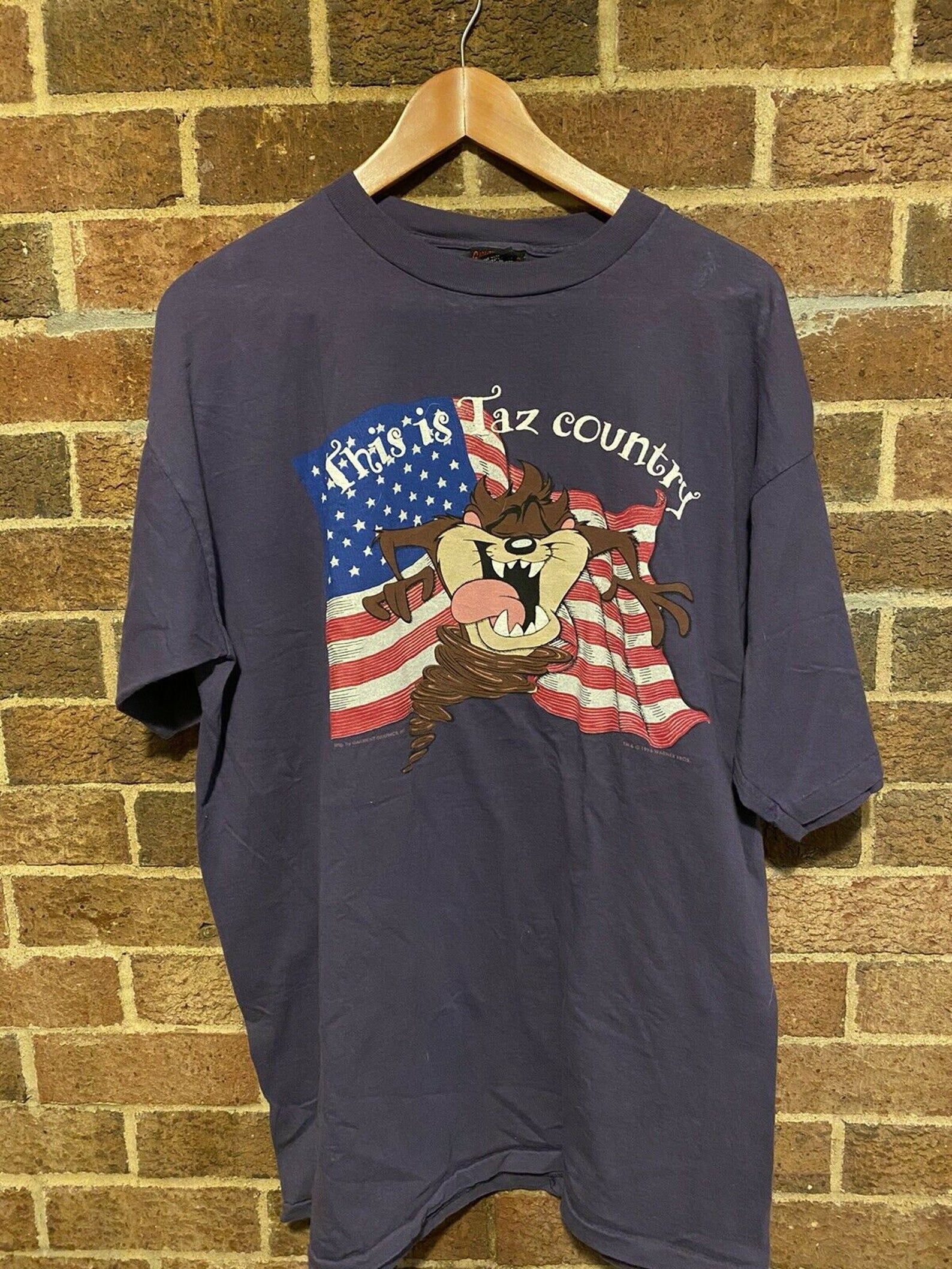 Vintage Looney Tunes 90S Taz Usa This Is Taz Country Tshirt Adult Purple